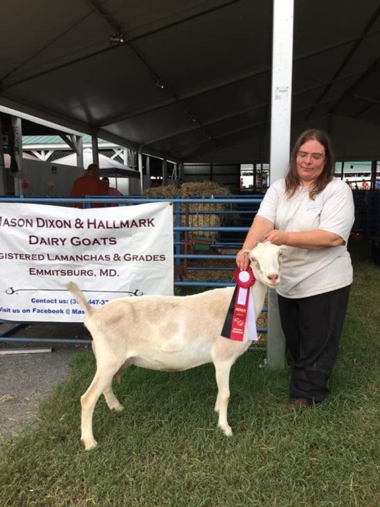 Anna Louise Waterman