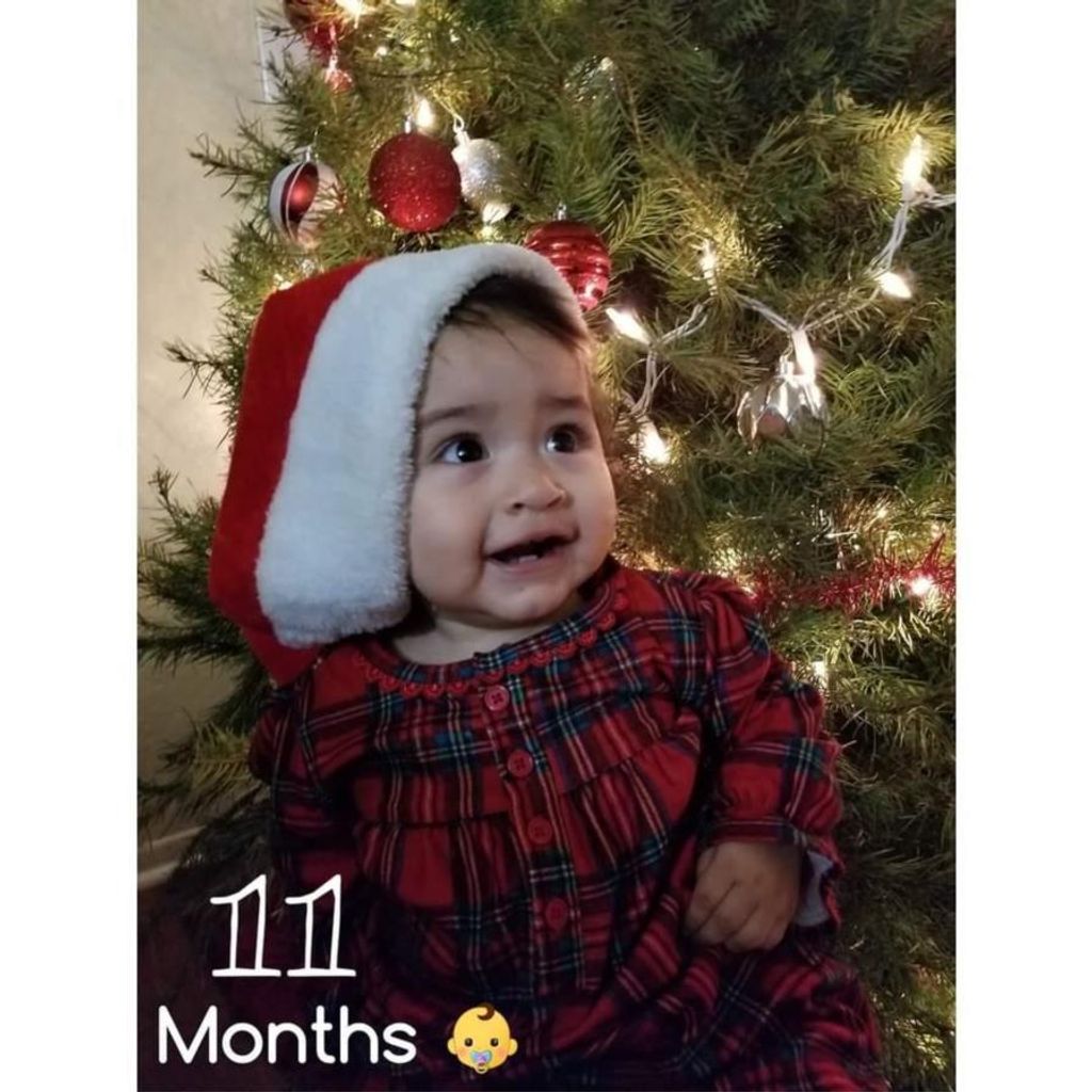 Amalia Michelle Herrera Cerriteno Profile Photo