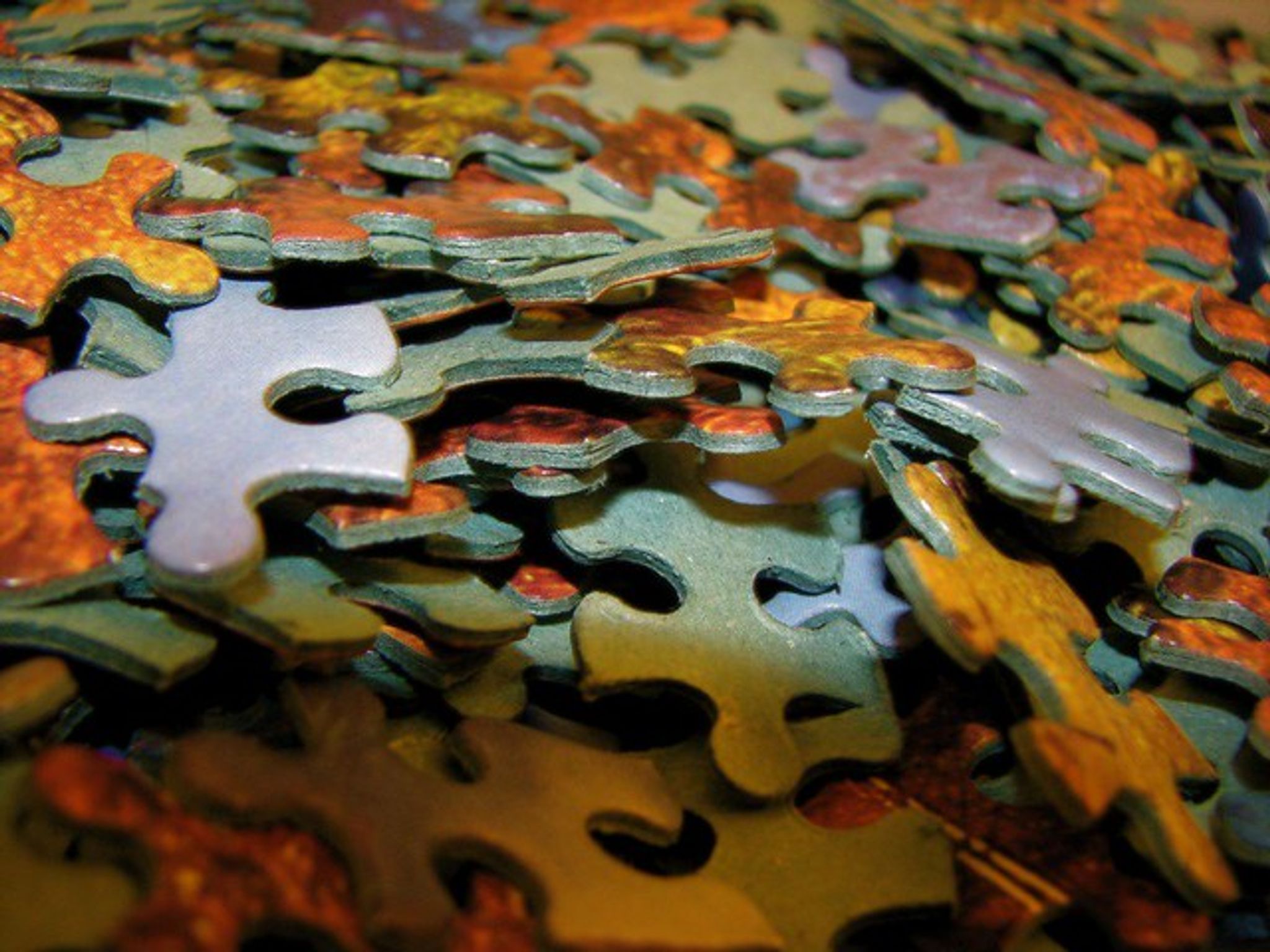 Cover for Lynn Duchi's Obituary