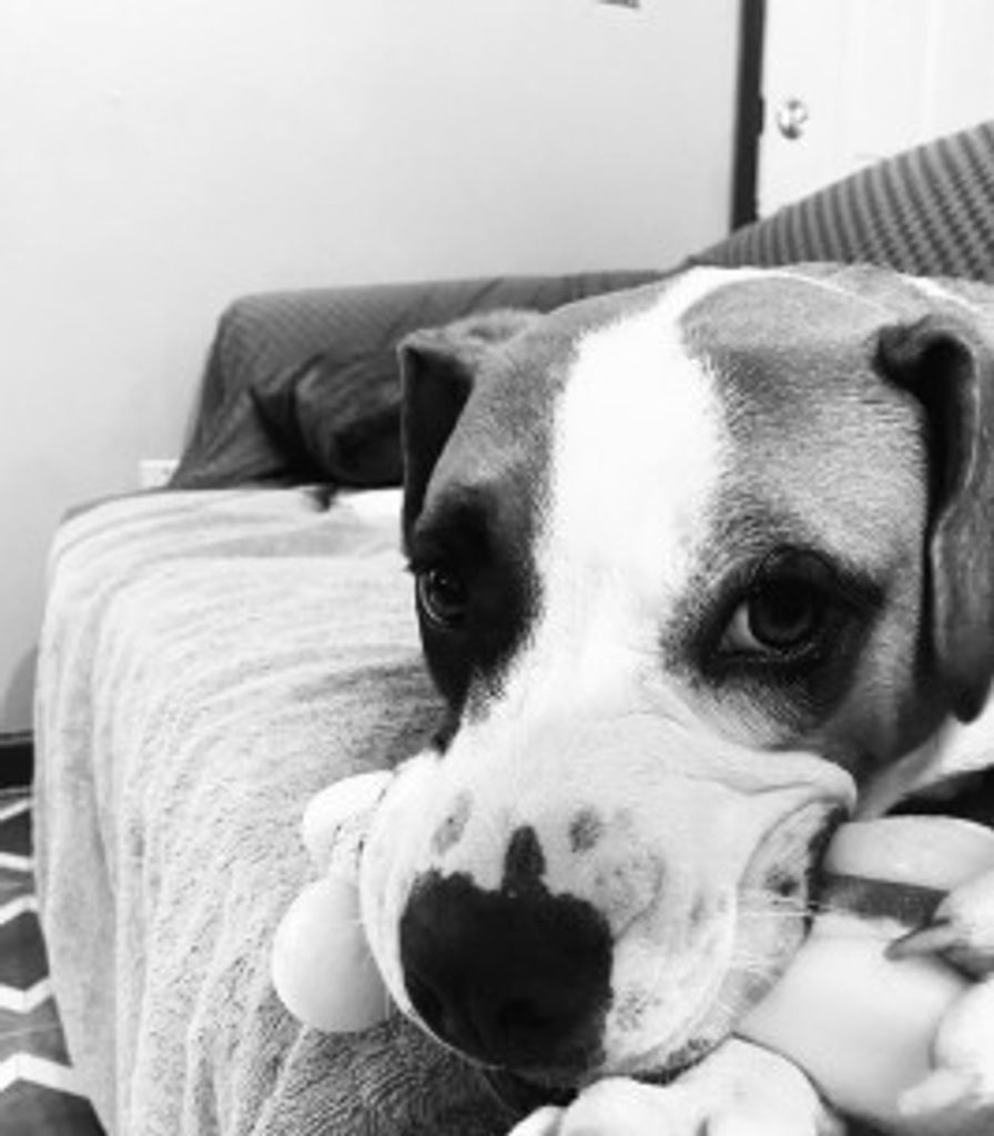 Mando Lawson Profile Photo