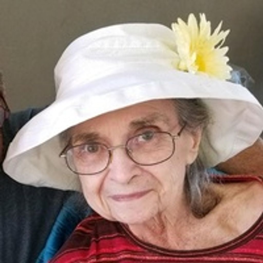 Phyllis Bohlman Profile Photo