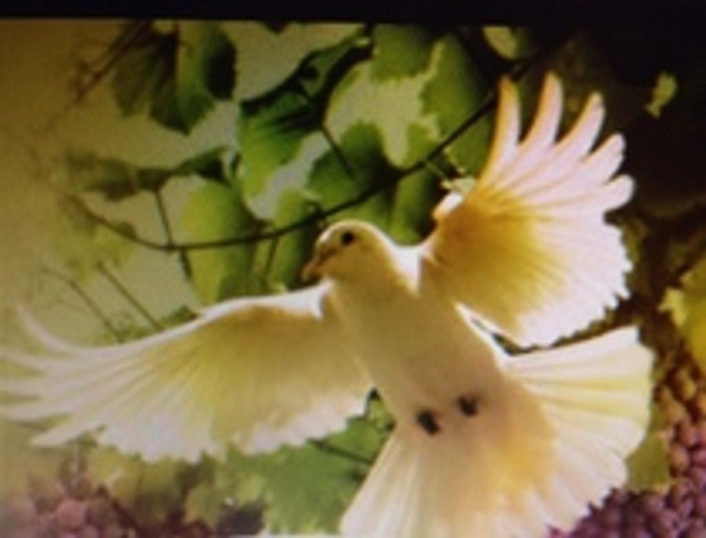 Chalil Ashawn Manning