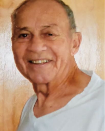 Gennaro Pellegrini's obituary image