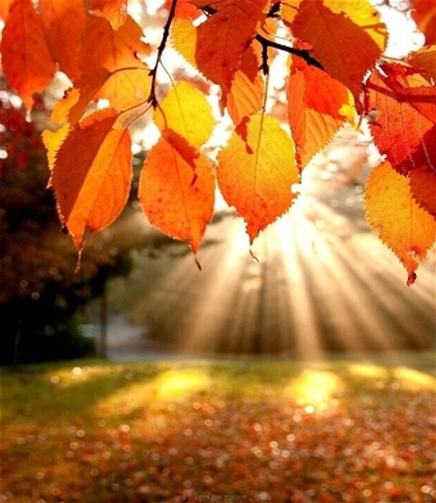 Robert S. Osborne, Jr.