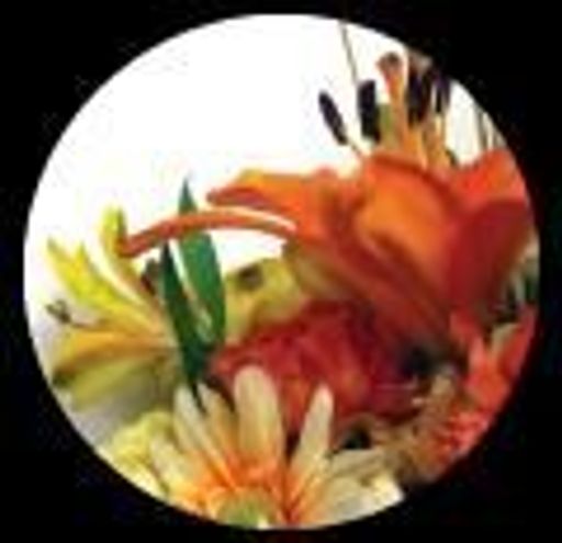 Clarice Marie Hatcher Profile Photo