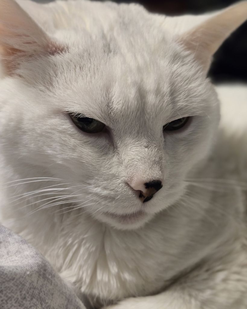 Ginger Profile Photo