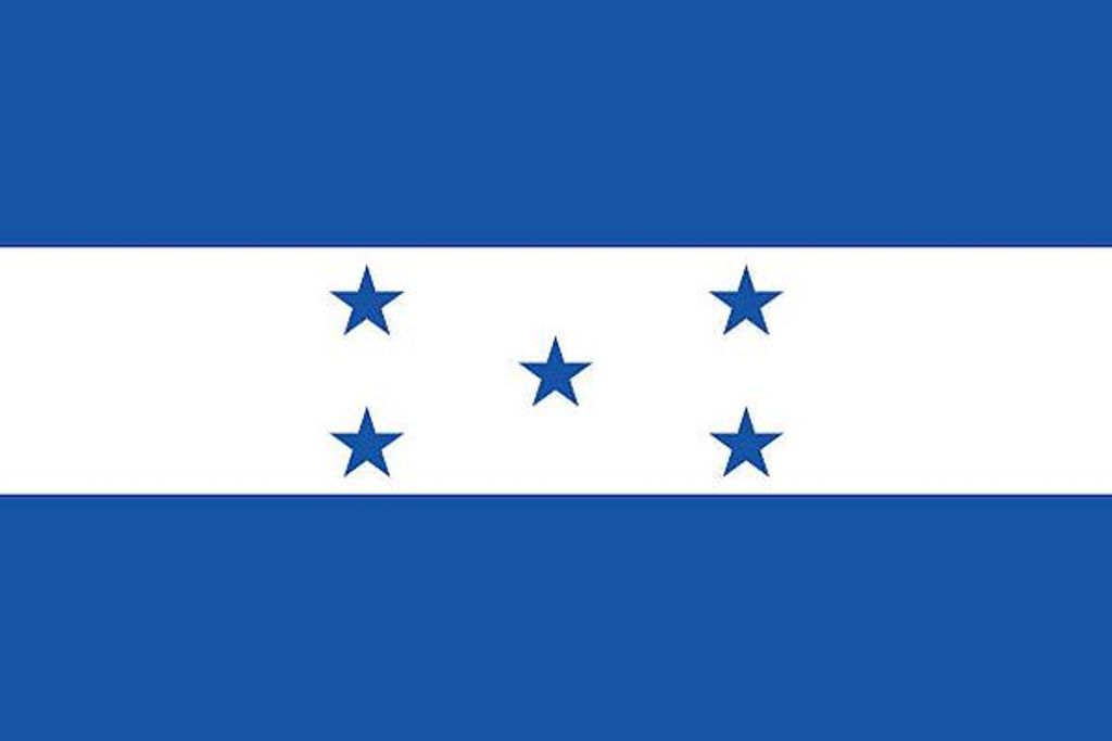 Walter Alfredo Dominguez Flores Profile Photo