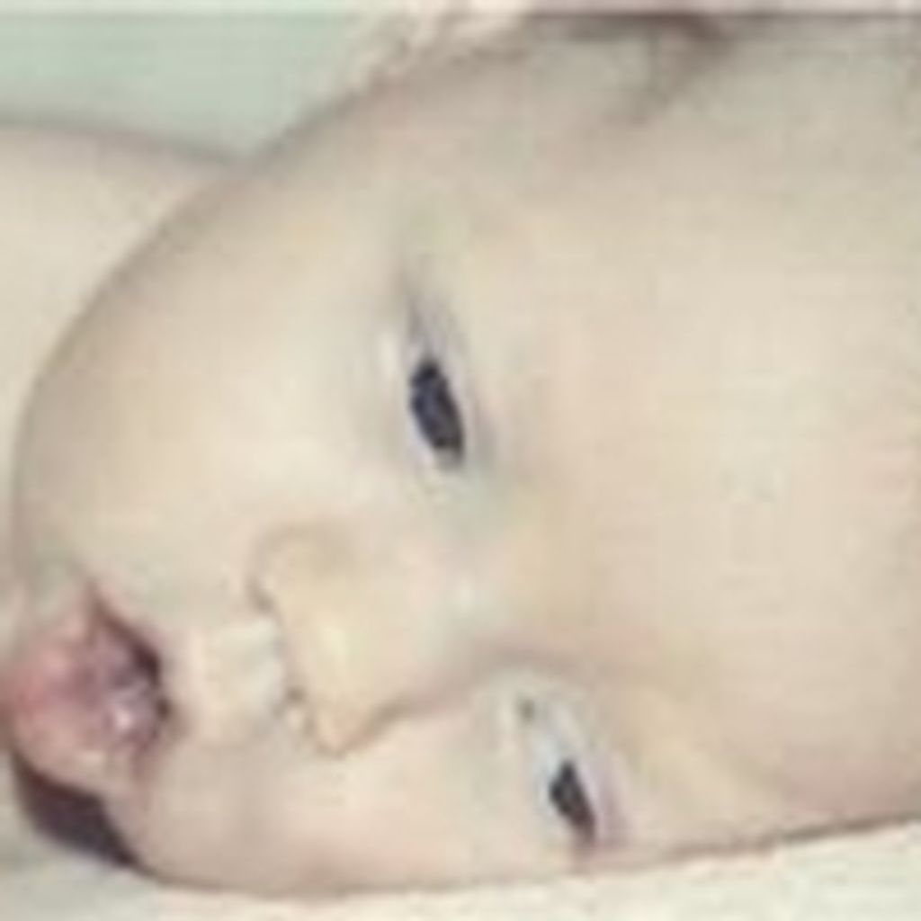 Kylie Nicole Lynn Hamner