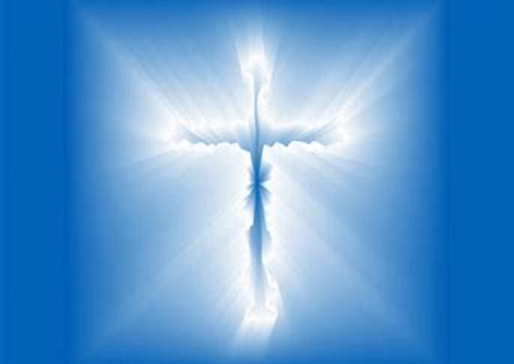 Reid Ivory Brown Profile Photo