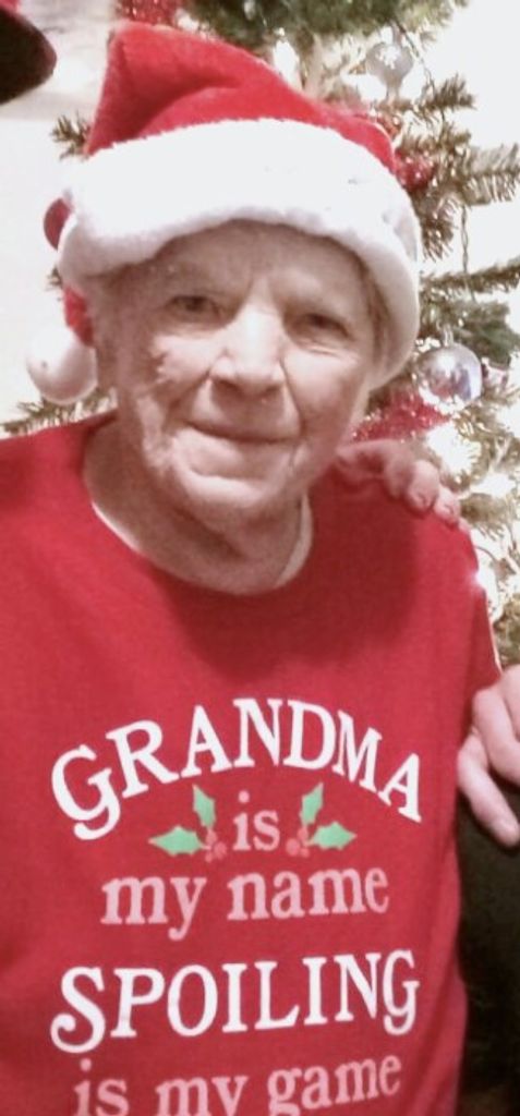 Carol L. (Loudenslager)  Grimes