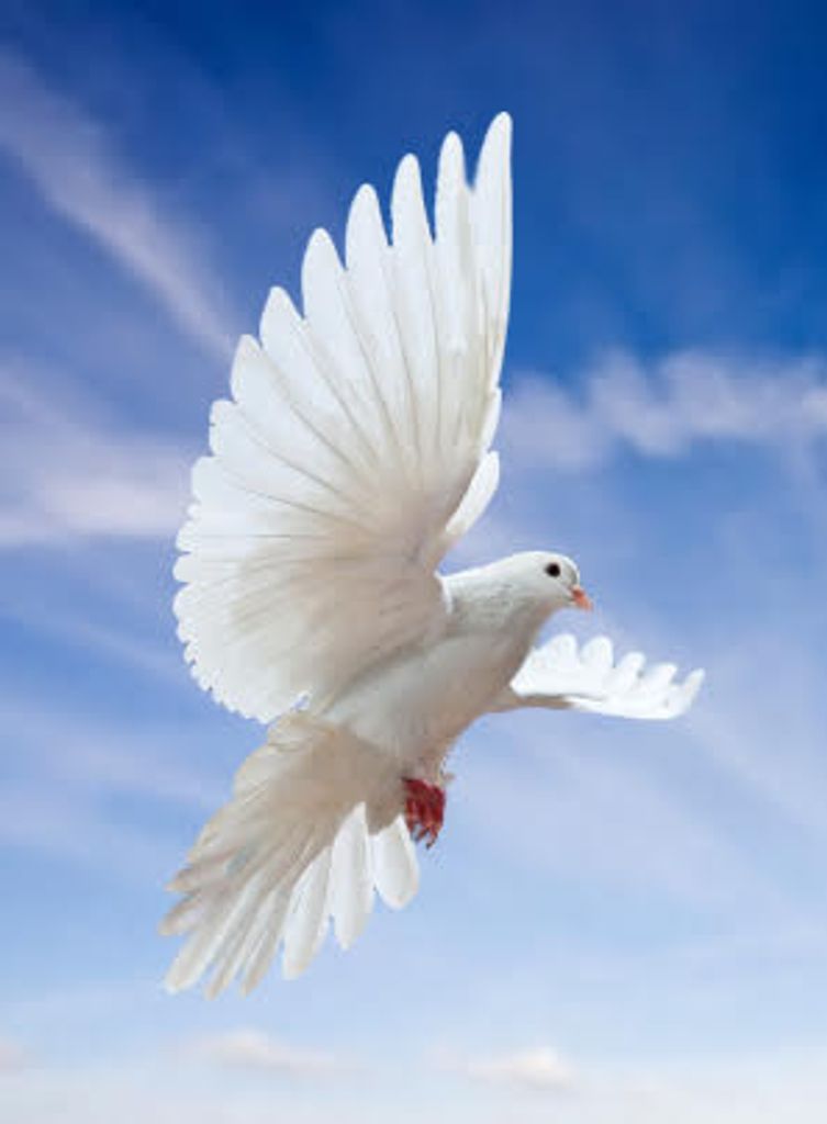 Charles Edward Funk Profile Photo