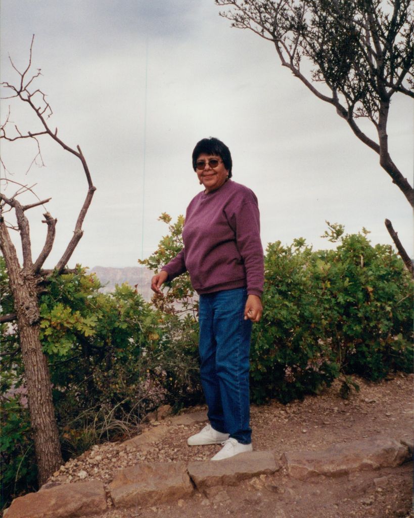 Janice Geneva Horse Chief