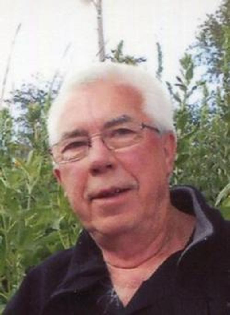 Dale A. Stout