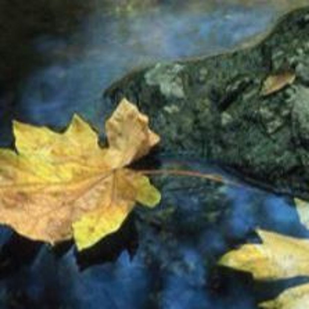 John Anthony Ziedonis Profile Photo