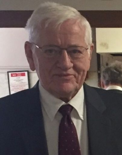 David F Boldt's obituary image