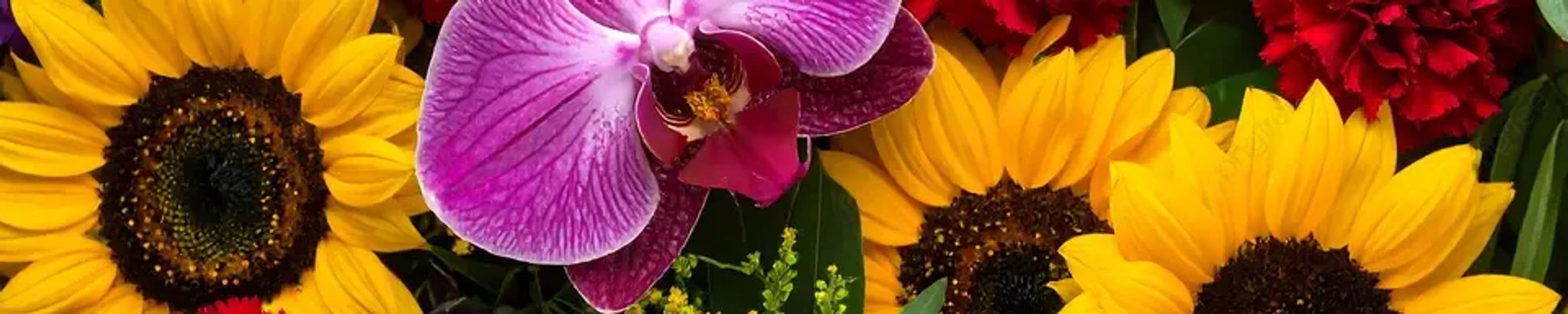 Cover for Bonnie C. Mason's Obituary