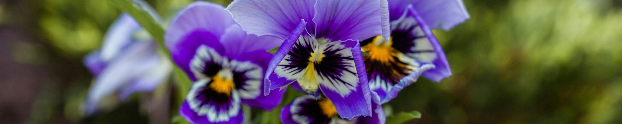 Cover photo for Joan Dorothy Landas's Obituary