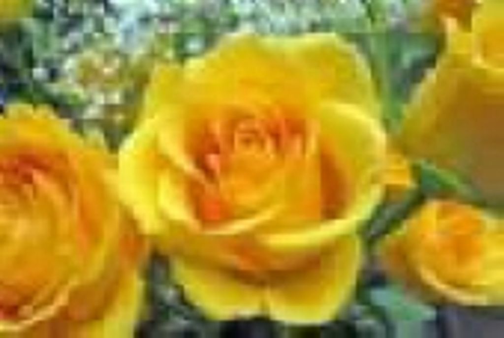 Edna J. Sharp