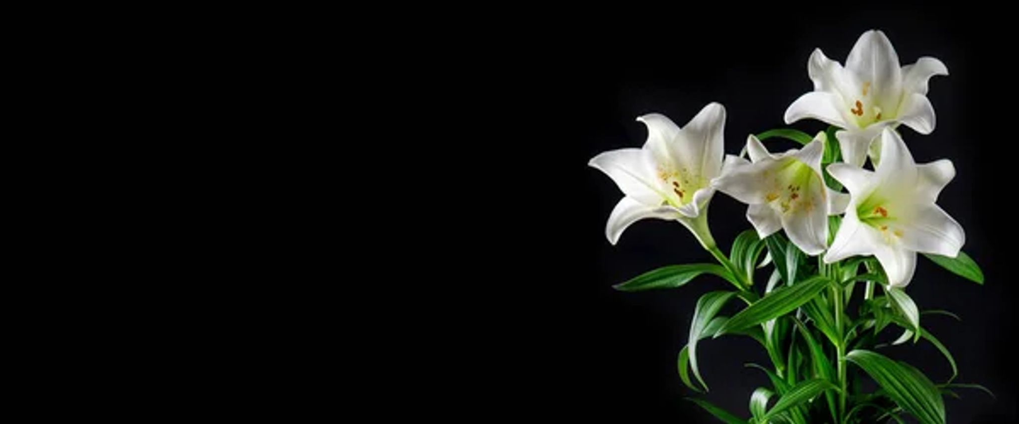 Cover for Helen Charlene Brown's Obituary