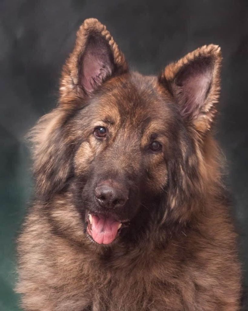 Cosmo Wagner Profile Photo
