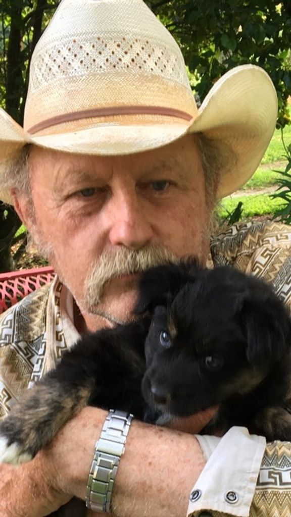 Darvis Mitchell Boyd Profile Photo