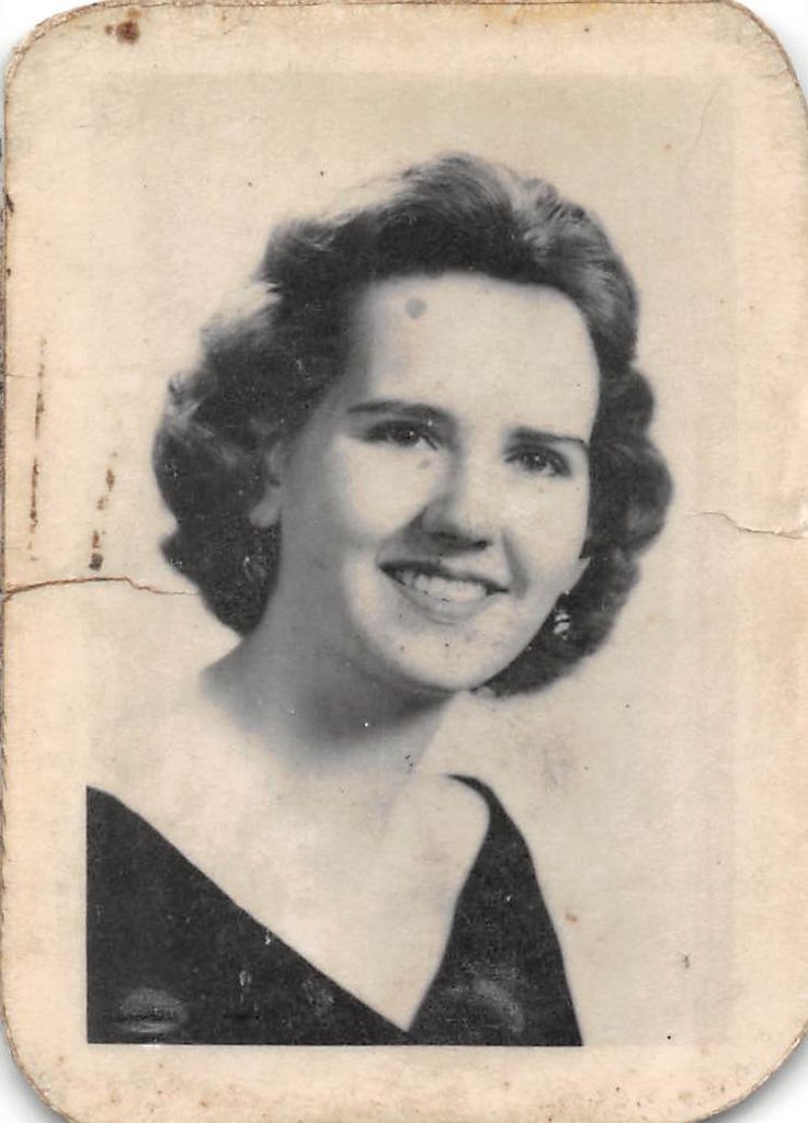 Donna Lee (Lundgren)  Wilcox