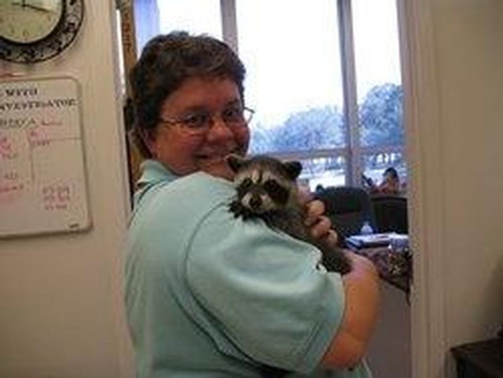 Tammy Louise Hampton