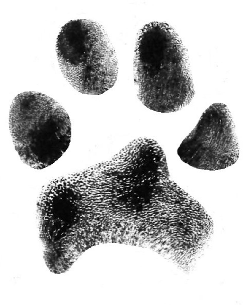 Max Neal Profile Photo