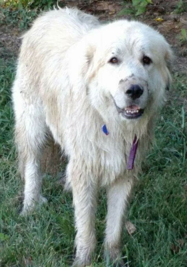 Daisy Green Profile Photo