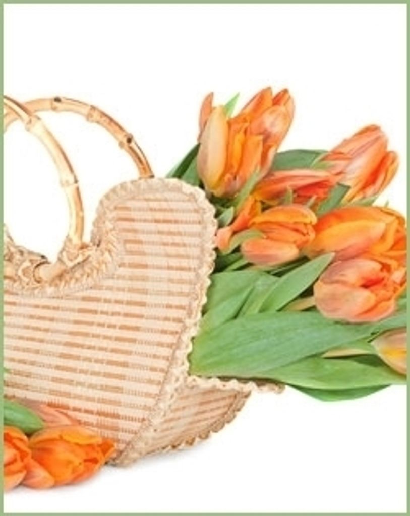 Lillian D. Williams Profile Photo