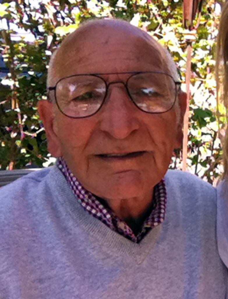 Joseph D. Dimodugno