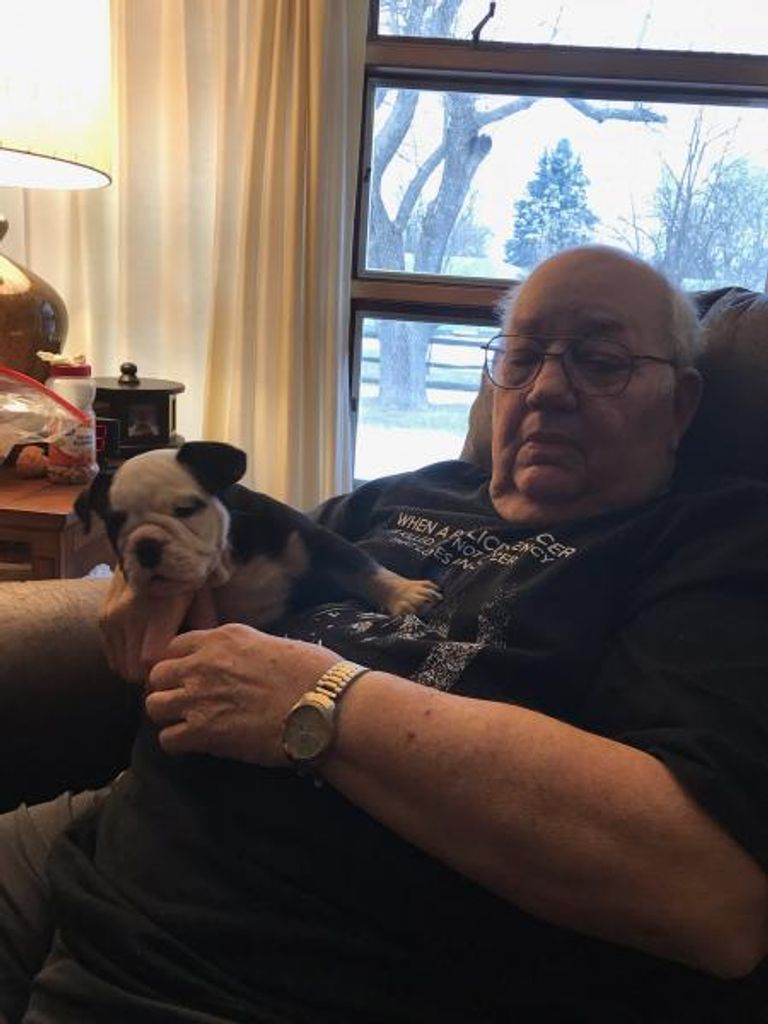 Steve Thomas Podrovitz Profile Photo