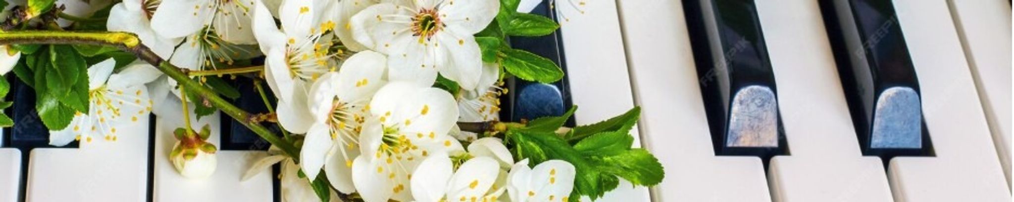 Cover for Darlene Joyce (Filenius) Weiss's Obituary