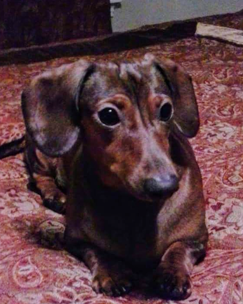 Daisy Mae Miller Profile Photo