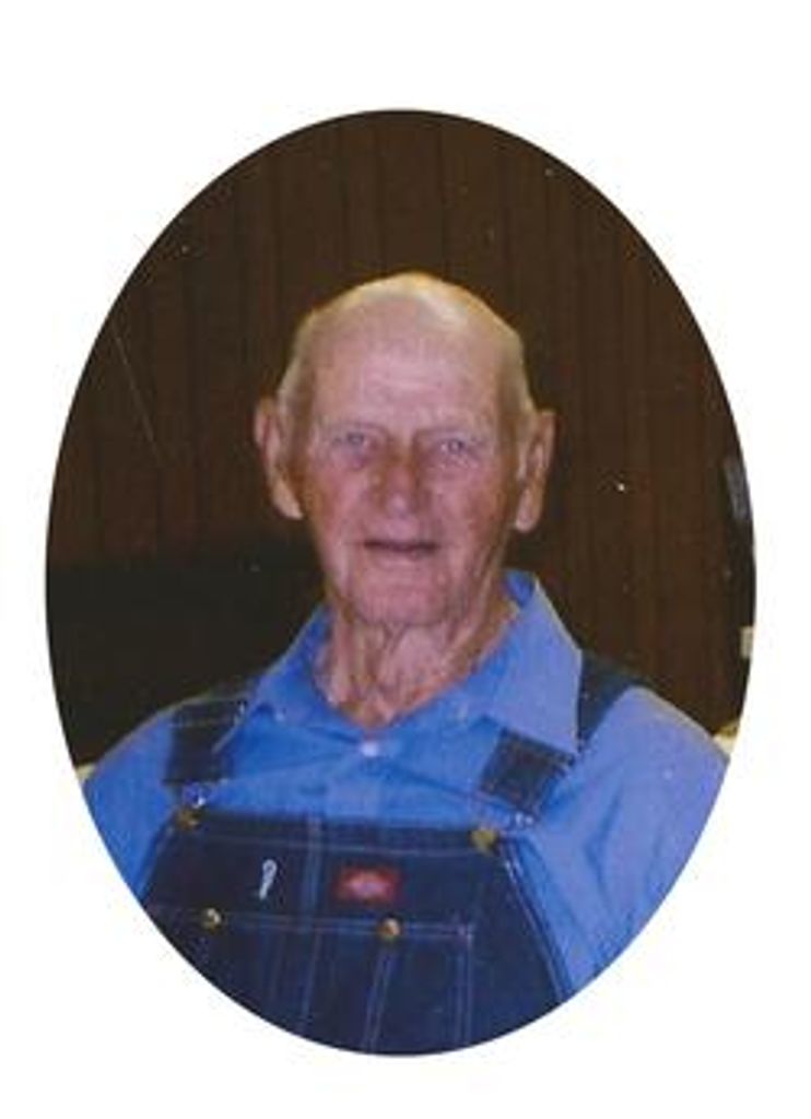 Alfred Vliem