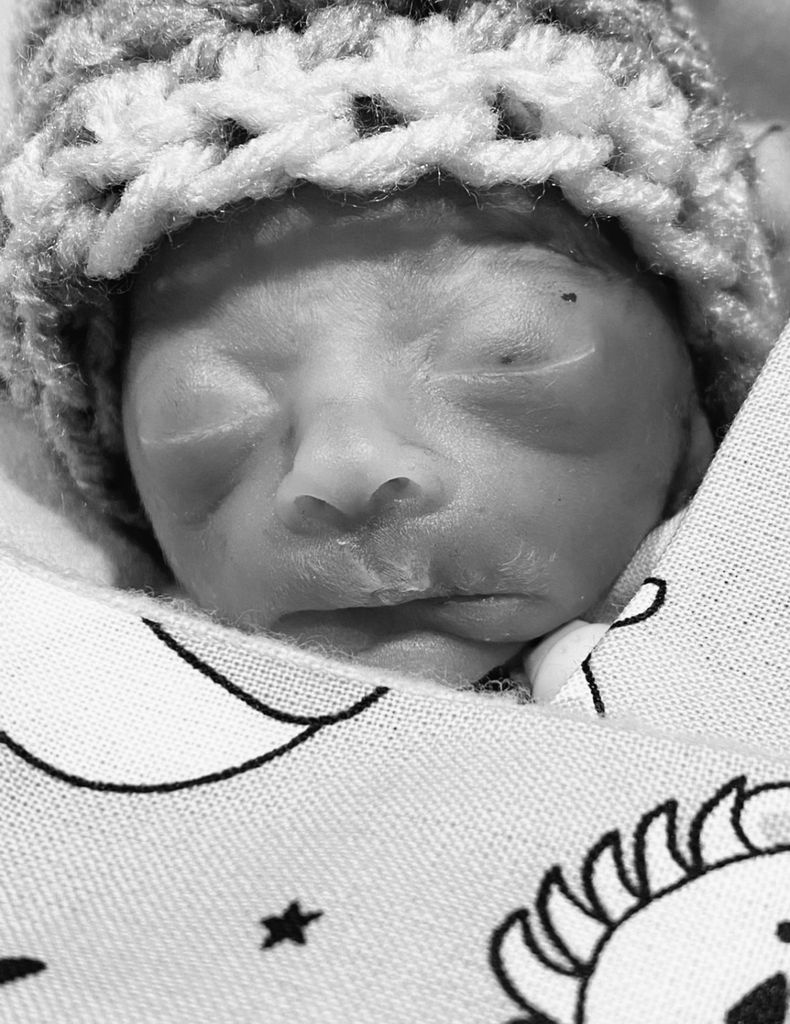 Waylon Otto York Profile Photo