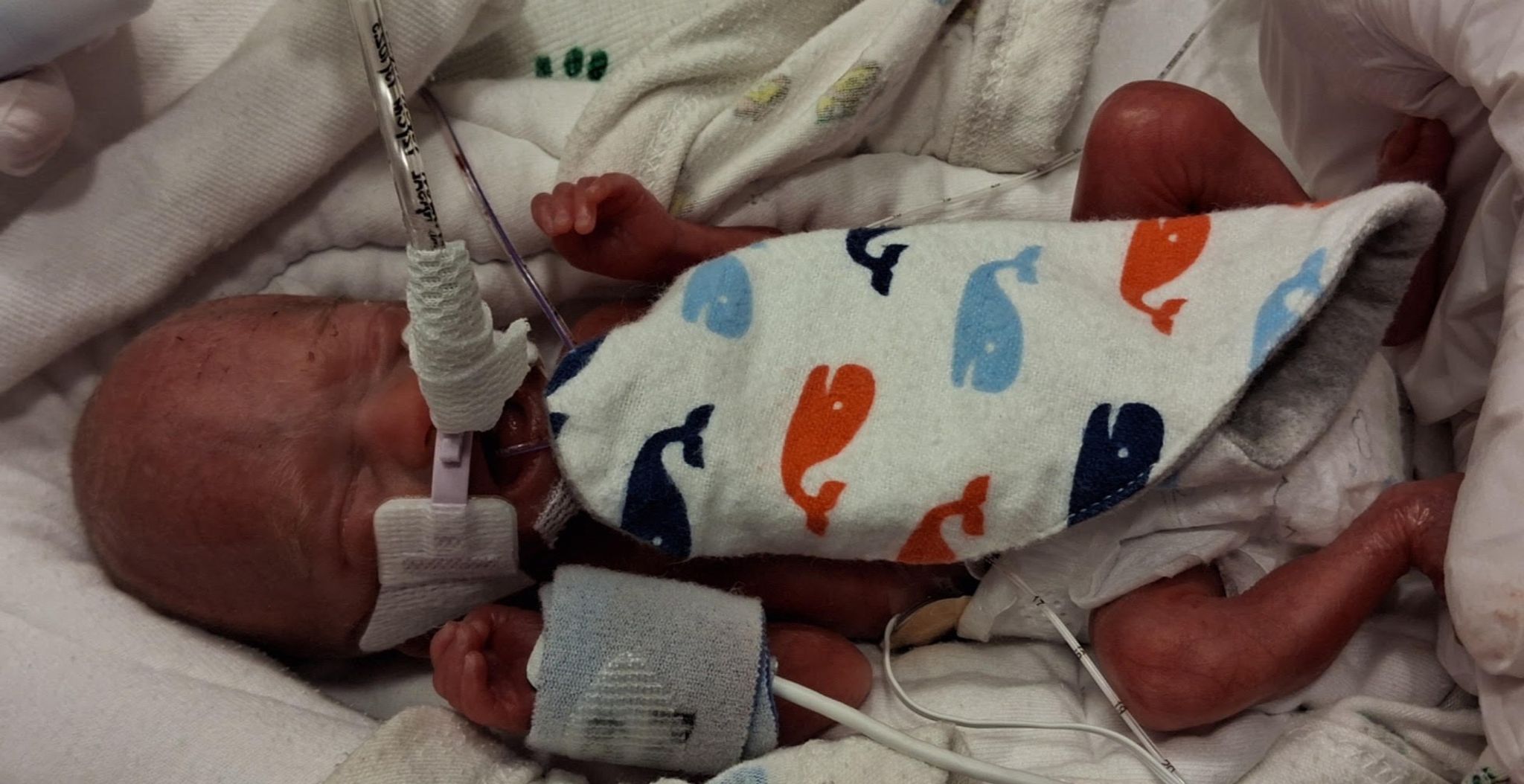 Cover for Noah Benz's Obituary