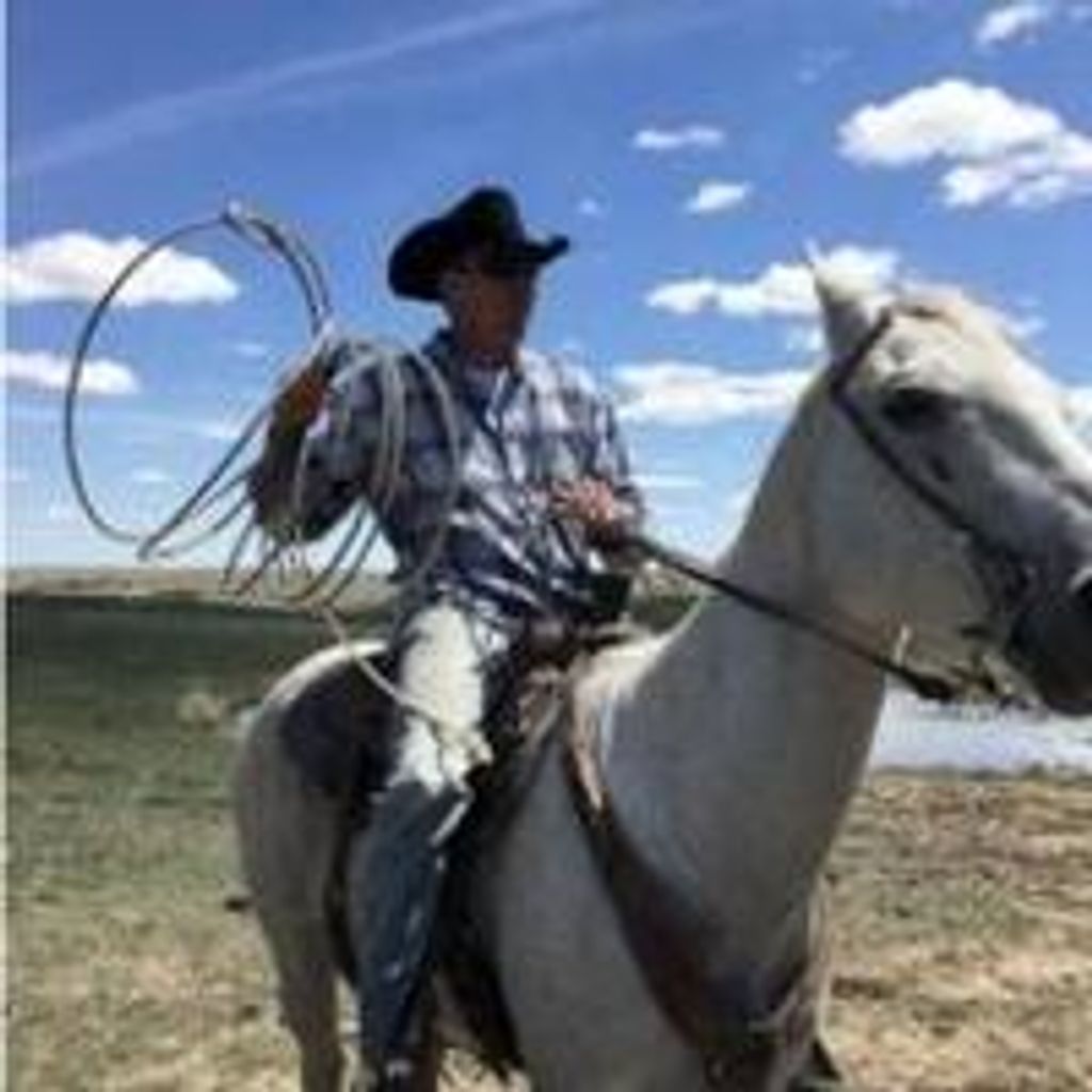 Billy  James Shepperson Profile Photo