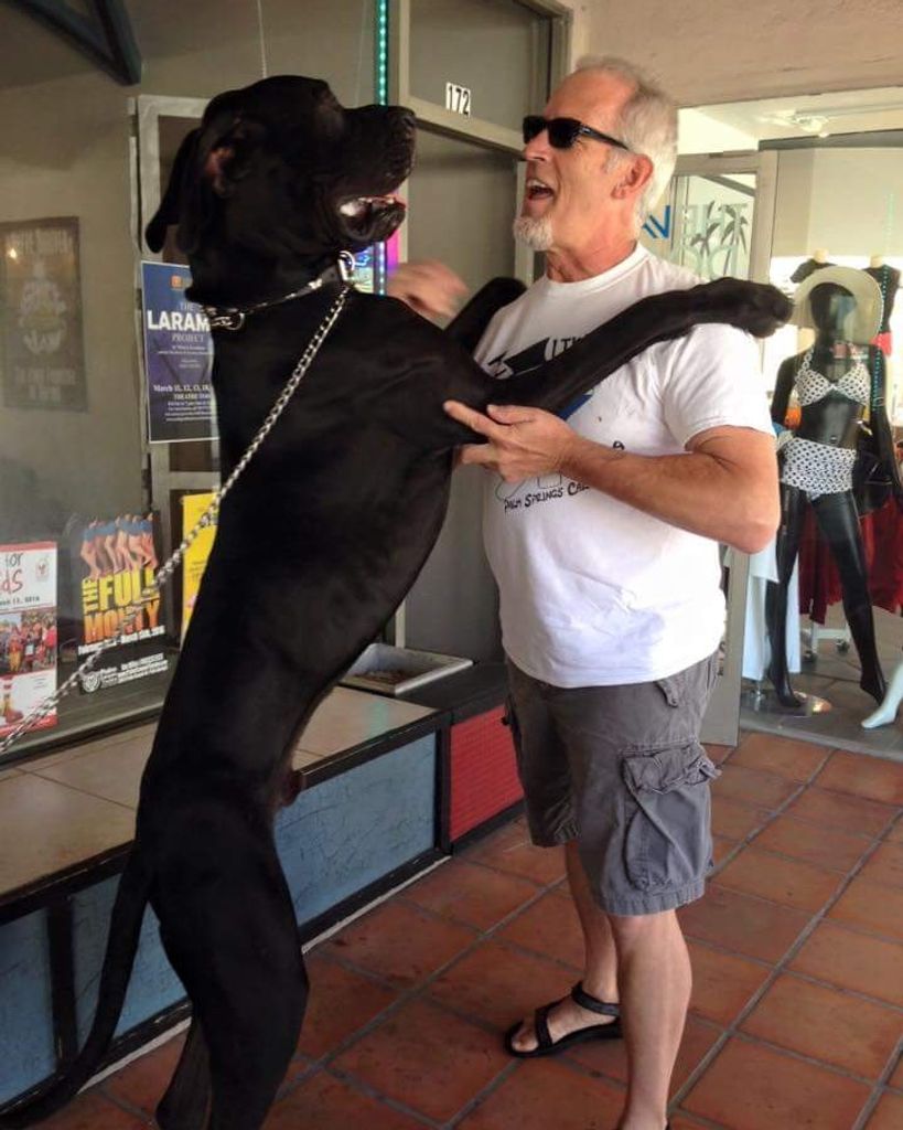 Dallas Scott Miller Profile Photo