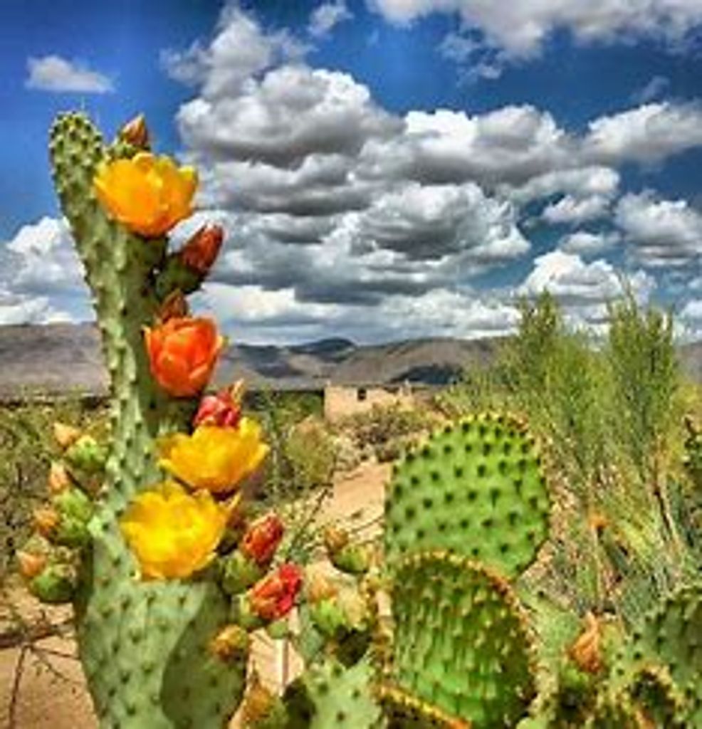 Francisco Castaneda Profile Photo