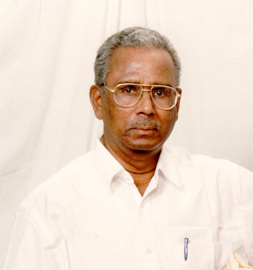 Narayanarao Rao Vajipeyajula