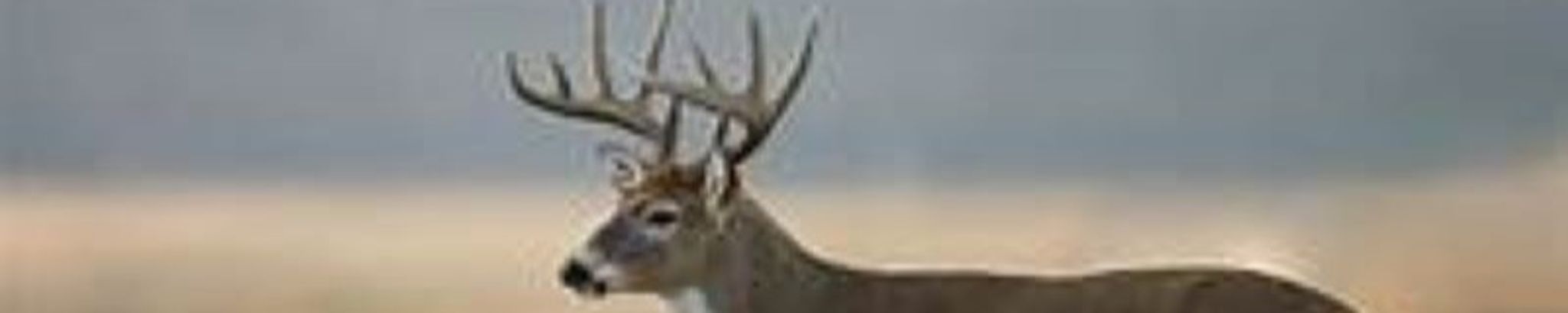 Cover photo for Neuford Combs's Obituary