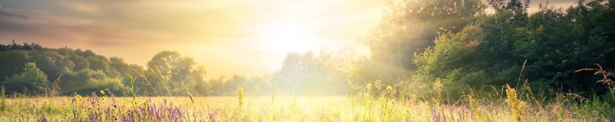Cover photo for Rachel Cypret's Obituary