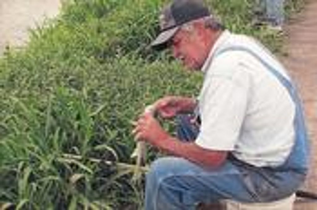 Daniel Roy Stewart Profile Photo