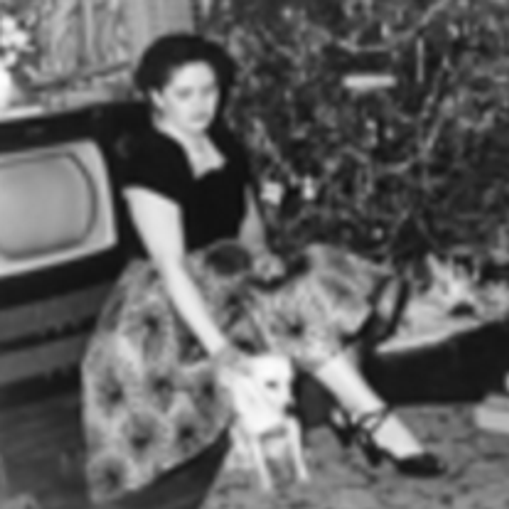 Teresa Agnes Dombkowski