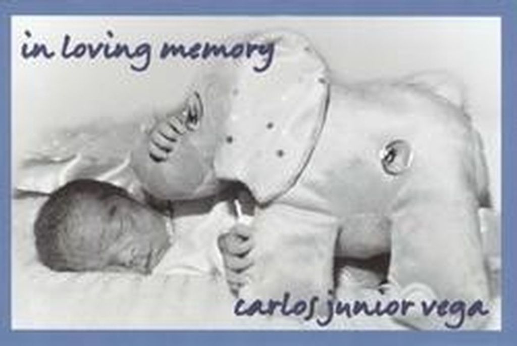 Carlos Junior Vega