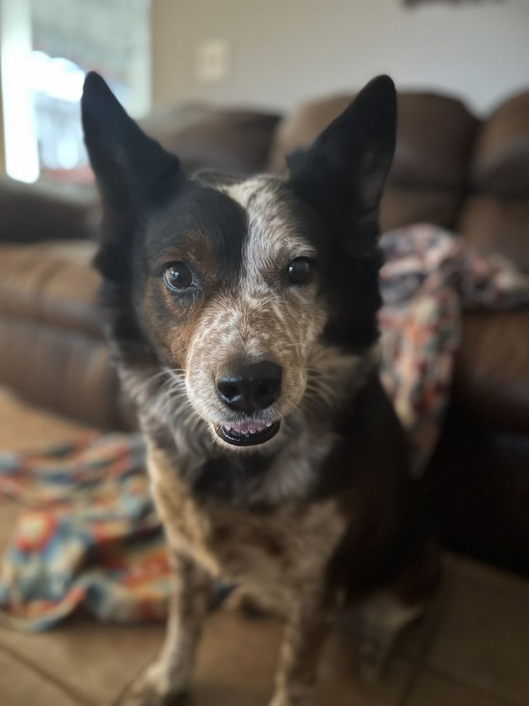 Skeeter Profile Photo