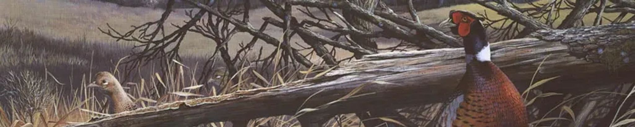 Cover for Morris "Joe" Ganser's Obituary