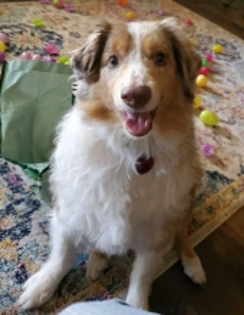Trouble  Titus Profile Photo