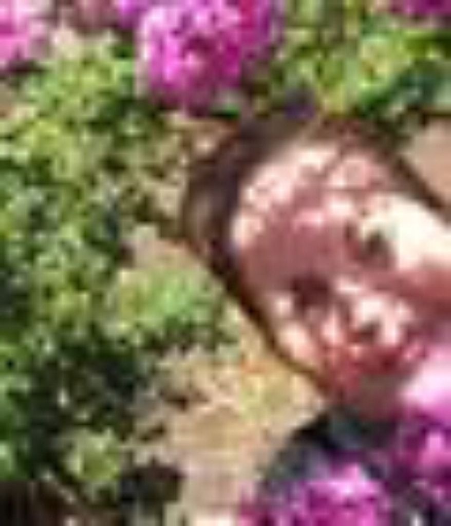 Marisol Pomales